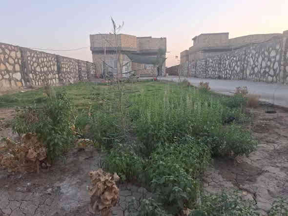 #يالله يارزاق 

🏠دار سكن للبيع طابوو زراعي سند 25

              (مشمول بالتطويب) 

📌الموقع:- داخل مجمع اللولؤه السكني 

                 (طريق سيد محيل) 

📐المساحه:- 650متر 

🔹مواصفات البناء:-

☘️اساس كونكريت.. سقف كونكريت.. بناء طابوگ

🌿يحتوي ع:-

✅غرفتين نوم 

✅صاله 

✅استقبال 

✅مطبخ 

✅خدمات صحيه 

✅مولدة امبيريه (40A) گاز 

✅سياج حجر دار نظيف جداً وبمساحه واسعه

💵السعر:- 125 قابل للتفاوض 

ــــــــــــــــــــــــــــــــــــــــــــــــــــــــــــــــــــــــــ

#للتواصل:- الاتصال ع الارقام 

#هاتف:- ***********

#هاتف:- ***********

#مراجعة مكتب دبي للاستشارات العقاريه 

#عنوان المكتب العروبه الثانيه مقابل منتزه الحريه
