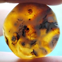 ١٠ أحجار داودي • خشنات • بغداد