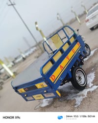 ستوته • موديل ٢٠١٤ • اوراق