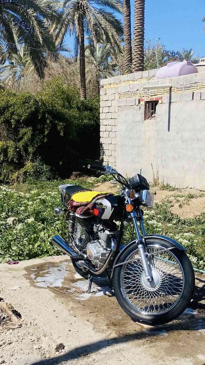 للبيع


**إذا كنت صاحب هذا الإعلان وتريد حذفه لأي سبب، رجاءا أرسل رسالة إلى الدعم الفني**