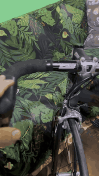 السلام عليكم رود بيانكي كلش كلش جديد ولا طالع بيه ضامه صار هواي  اريد ابيعه بيتنا  مدينة  الصدر حي جميلة  رقمي ***********
