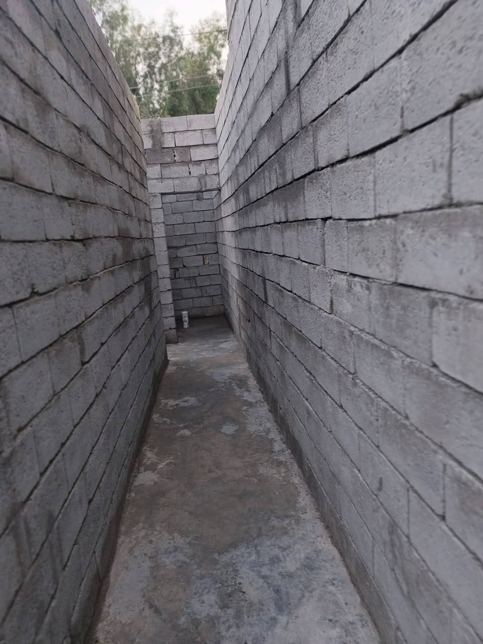 سلام عليكم  هيكل للبيع م120 يحتوي عله صتقبال ومطبخ وصاله وغرفت نوم وترك خلفي  يحتوي عله شارعي  لرضيه رفت لتواصل تصل عله رقم لمذكور الخاص 🔓 مغلق  ‏‪***********‬‏
