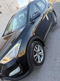 سنتافي ٢٠١٣ • وارد خليجي • ٧ راكب