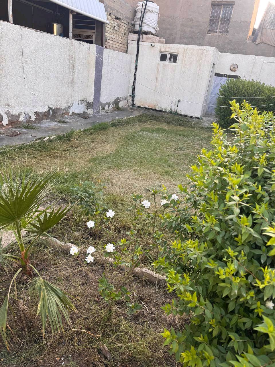 إعادة نشر بسبب الوعود دار للبيع طابو صرف في الصويره حي الحسينية شارع المواكب مقابل محل ادوب الخيكاني داخل دربونه عرضها ٣م مساحة البيت ٣١٥ م طابق واحد يحتوي على ٣ غرف نوم واستقبال ومطبخ وصاله و٣ صحيات للأستفسار الاتصال على الرقم *********** او وتساب