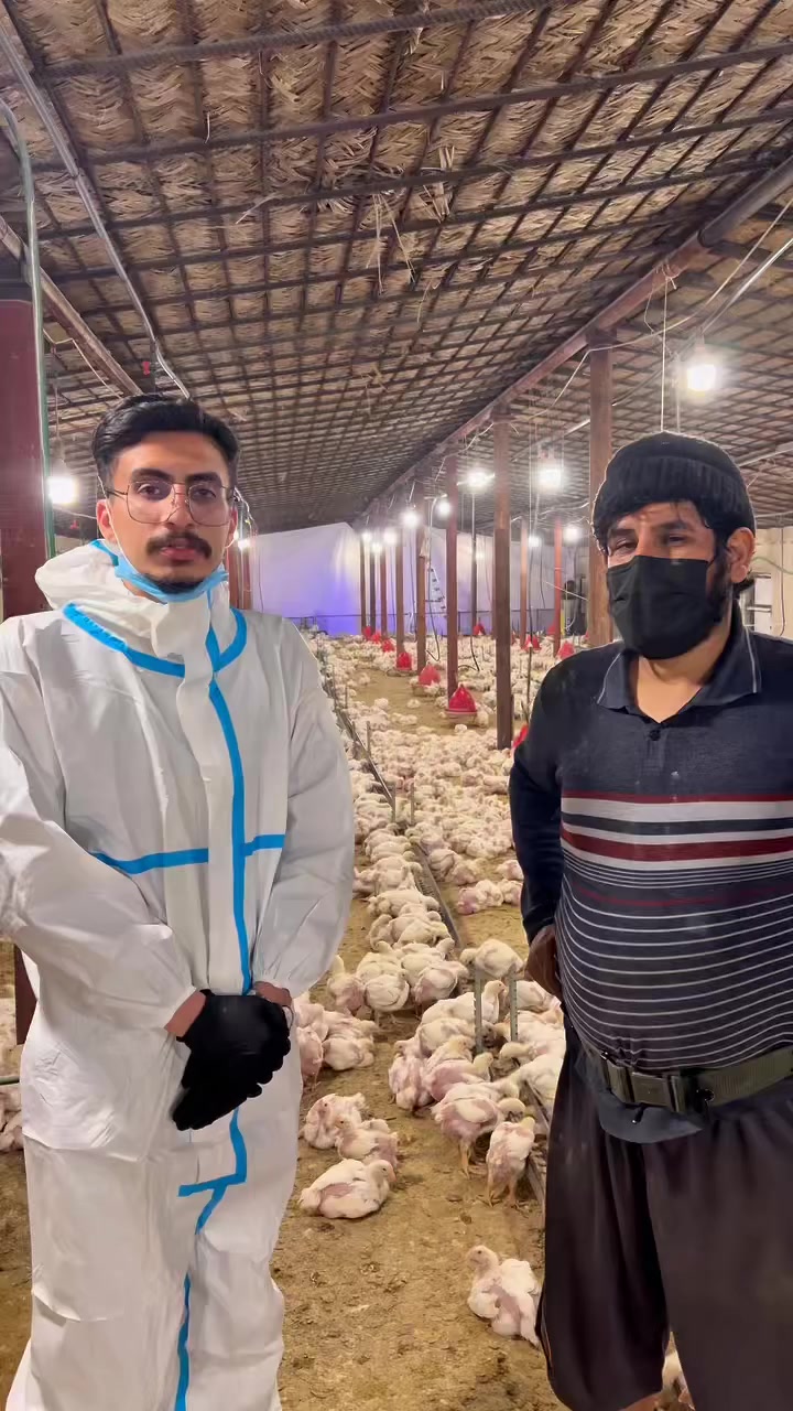 جانب من اعمالنا في محافظة بغداد منطقة أبو غريب 

⁨ مختصون بأنظمة التعقيم الحديثة والامنة لحقول الدواجن 

📍العنوان : كربلاء / طريق الحر / مقابل الأتحاد (الجملون الازرق)

للأستفسار والتواصل : 
***********  ☎️
*********** ⁩ ☎️
