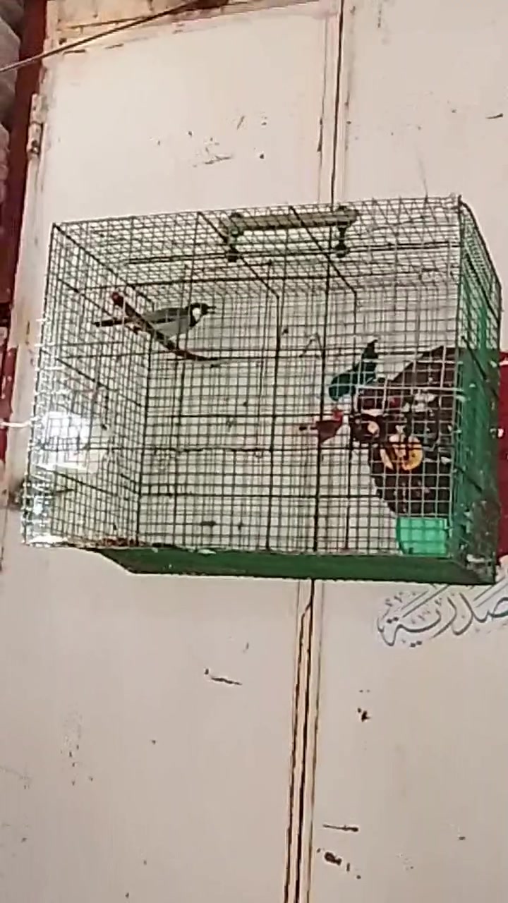 السلام عليكم متاح العنوان سويب الفلكه البصطيه مال المخضر


**إذا كنت صاحب هذا الإعلان وتريد حذفه لأي سبب، رجاءا أرسل رسالة إلى الدعم الفني**