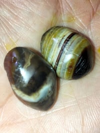 اكسسوارات شخصية • خاص