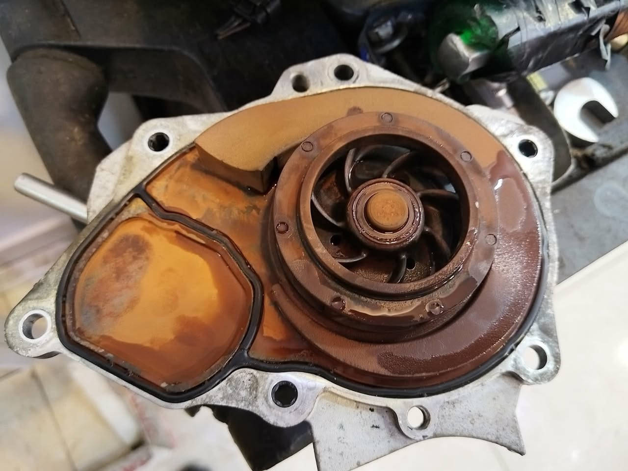 Shireen German Auto Service-  مركز شيرين لصيانة السيارات الالمانية
زبائننا الكرام

 السيارة الاولى 🚘: 

اشتكى الزبون من نقص في ماء راديتر ( نقص هوايا )   ، تم فحص المحرك وتبين ان المشكلة في الواتر بامب ، تم تبديل واتر بامب اوربي جديد مع ماء راديتر G12 evo الخاص بسيارات الفولكس واكن ( لازم تبدله كل ٣ سنوات ) علما بان السيارة هي فولكس واگن جيتا ( Jetta )  موديل 2021 محرك 2.0 تيربو    .

🌹

السيارة الثانية 🚖 :  

اشتكى الزبون من عدم عمل الرادار الامامي ، تم فحص الرادار وتبين ان رادر عاطل ، تم تركيب رادار مطابق لرقم شاصي ( نفس الكود ) وتم برمجة الرادار  اون لاين  ، علما بأن السيارة هي فولكس واكن تاوس ( Jetta  )  موديل 2025  محرك 1.5 تيربو . 

🌹
🌹

‏‎كروب وكالتنا 

https://www.facebook.com/share/g/16oT3VE986/?mibextid=wwXIfr

🌹
🌹

‏‎زبائننا الكرام 

‏‎عروض وكالتنا 

‏‎١- تبديل هيدروليك كير بدون اجور عمل 🚘

‏‎٢- فحص كومبيوتر مجانا في وقت تحتاجه سيارتك الى فحص في حالة تبديلك لدهن المحرك في وكالتنا . 

‏‎٣- فحص للصدر الامامي مجانا في وقت تحتاجه سيارتك الى فحص في حالة تبديلك للدهن المحرك في وكالتنا . 

‏‎كذلك سوف تدخل تلقائيًا في السحبة الشهرية للفلاتر المجانية والسحبة الدهن المجاني كل ثلاثة اشهر. 

‏‎٤-زبائننا الكرام 

‏‎العرض الجديد من وكالتنا 

‏‎في حالة زيارتك لورشتنا سوف تدخل تلقائيا بالقرعة الشهرية الجديدة . 

‏‎وسوف تحصل بها على اجور عمل مجانية لاي صيانة تقوم بها في المستقبل حتى وان كان تعمير محرك 

‏‎🏆  العرض الجديد : 

‏‎٥-تبديل هيدروليك كير مجاني ( قرعة كل ثلاثة اشهر )

🌹
🌹

موقع شركتنا الجديد

‏https://maps.google.com/?q=36.168079,44.011108

‏‎‏‎شركة شيرين ( وكالة فولكس واگن & سكودا) 

‏‎اربيل -شارع ملعب فرنسو حريري اذا من جهة شارع  60  - قرب نقليات بغداد ( كراج بغداد) - بالقرب من مرطبات 9* 9 

***********-***********

‏‎الوكالة الالمانية الوحيدة في العراق 🇩🇪

‏#erbil #Atlas #kurdistan #Volkswagen #audi

السيارتين  لونهم احمر 😁
