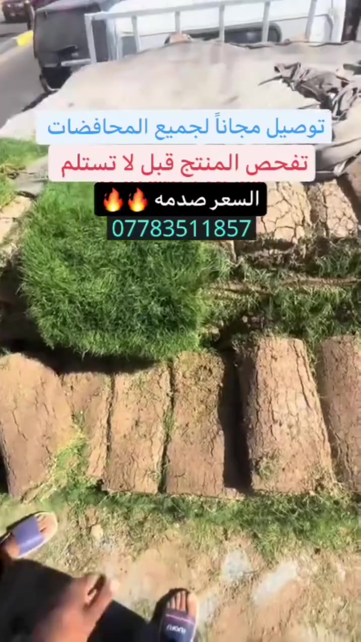 السلام عليكم ورحمة الله وبركاته 
متوفر ثيل ديالى درجة أولى وسعر مناسب
كل الانواع متوفر


**إذا كنت صاحب هذا الإعلان وتريد حذفه لأي سبب، رجاءا أرسل رسالة إلى الدعم الفني**