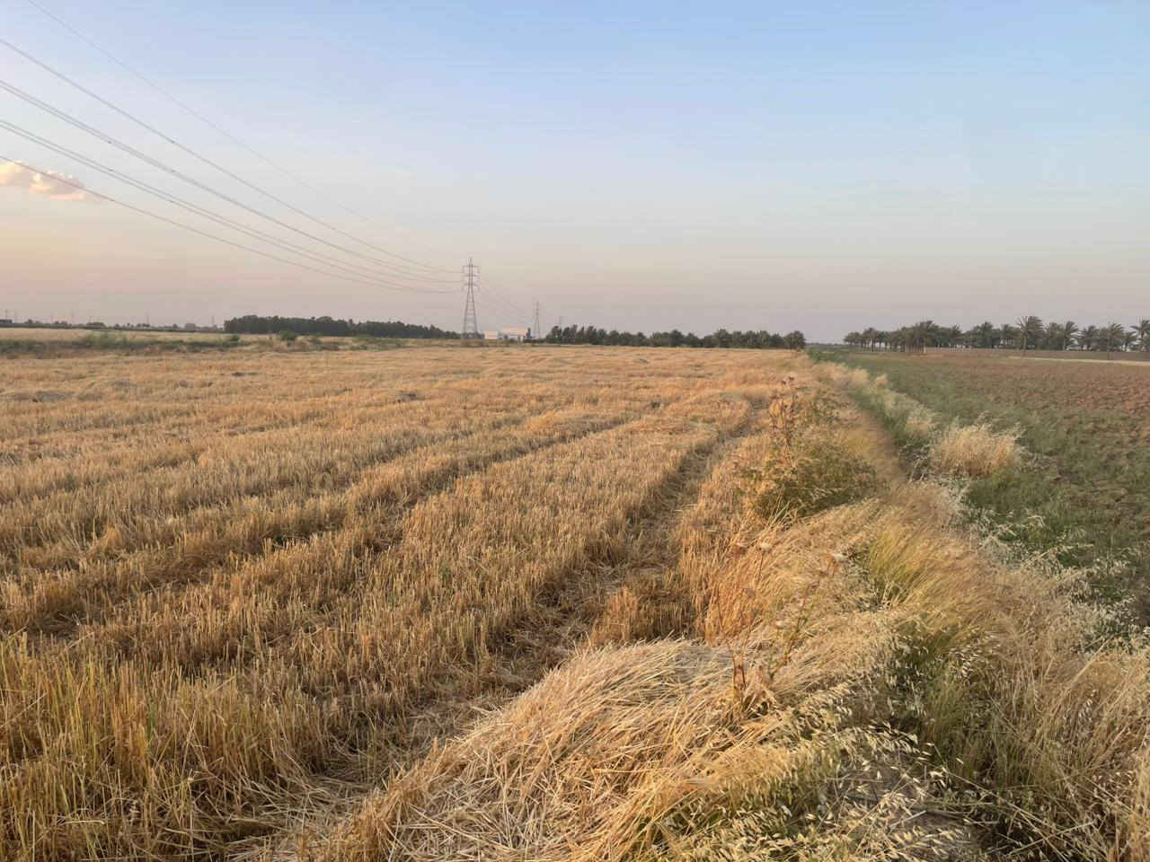 📢 عرض اليوم المميز 📢

قطعة أرض للبيع للبيع 🌿🏡

📍 الموقع: الرمادي - ناحية اليرموك
مقابيل مدرسة الخوارزمي الأهلية

📐 المساحة: ٦ دونم
📄 الجنس: طابو زراعي سند ٢٥ تحويل مباشر

✅ الأرض صالحة للزراعة
✅ تصلح للسكن والاستقرار
✅ مناسبة لأي مشروع استثماري
✅ قريبة من جميع الخدمات
✅ منطقة أمانة وهادئة ومريحة للسكن
✅ سهولة البيع، تباع كاملة أو حسب الطلب

إذا تبحث عن الراحة النفسية والأمان ومستقبل مضمون فهذا العرض يفيدك 👍

📞 مكتب العسافي للخدمات العقارية
📍 الرمادي - ناحية اليرموك قرب بناية الناحية الفرع الأول

☎️ *********** واتساب
☎️ *********** واتساب

#العسافي_للخدمات_العقارية
#عقارات
#الرمادي
#الأنبار
#ناحية_اليرموك
#اراضي_للبيع
#ارض_للبيع
#طابو_زراعي
#سند25
#تحويل_مباشر
#استثمار
#اراضي_الرمادي
#عقارات_الأنبار
#مشاريع_استثمارية
#الزراعة
#سكن
#استقرار
#بيع_وشراء
#عروض_عقارية
#مكتب_العسافي
#اليرموك
#اراضي_زراعية
#عقار
#بيت_احلامك
#فرصة_استثمار
#عروض_اليوم
