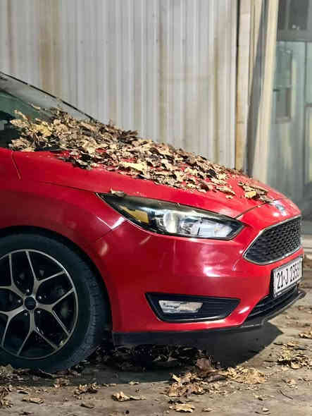 Ford Focus SEL 2017
مەچینە ٢٠٠٠ ٤ پستنی بێ تۆڕبۆی مەرغوب
فول مواسەفاتە
سلایت 
شاشە گەورە سۆنی  SYNC3 ئاخیر نوییە
سەماعە سۆنی و ئێمپلی فایر لە سندوقی
تەبرید لەمسە و ٢ زۆنە 
ویل ١٨ ی گەورە
ڵێدانەکەی زۆر سوکە بەبێ ژۆرێ 
ئیرباگی بەس شانی تەقیە
سەیارەکە ئی ماڵێیە هاتوچۆی زۆر پێ نەکرایە هەمووشتێکس نوێیە بەناوی خۆمە

 ***********

ئـەگەر سەیارەکەت دەفرۆشیت نامە بنێرە با بلاوی کەینەوە لۆت
