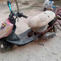 عصفورية • سترين • تزويد