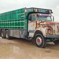 سكانيه • شاصي • نينوى