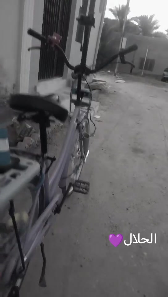 باسكل للبيع بطه حجم 26 لون بنفسجي شركه BD للبيع السعر خاص


**إذا كنت صاحب هذا الإعلان وتريد حذفه لأي سبب، رجاءا أرسل رسالة إلى الدعم الفني**