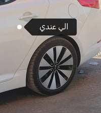 ويل كب • فراشه • حجم ١٨