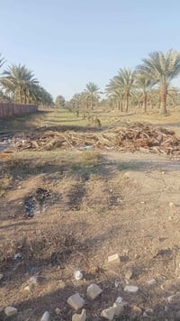 طابو زراعي • ٣دونم وربع • بابل ابوغرق