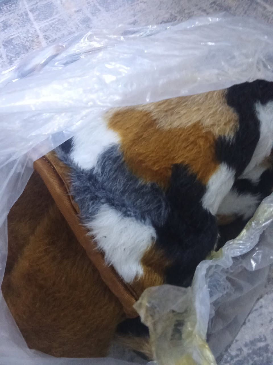 🔸بەناوی خودا......#فرۆشتنی خێرااااا
🍁بەتانی یەک نەفەری دوو دیوی لۆکەی   تەورێز  قیاس  گەورە  👈 ١٦هەزار
🍁سندوقی ڕوسی اسڵی👈 ١٥هەزار
🍁سۆبەی شەمـسەدین  👈٥هەزار
🍁بان مەمنهۆڵی ئآسن 👈١٠هەزار
🍁جەکی بچوک تەنونیو👈١٠هەزار

✍️شوێن»»کەلار...#کەلارکۆن
(#تکایە مشتەری نیت چات 📩 مەنێرە)


**إذا كنت صاحب هذا الإعلان وتريد حذفه لأي سبب، رجاءا أرسل رسالة إلى الدعم الفني**