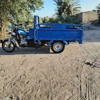 ستوته • موديل 22 • اوراق أصولية