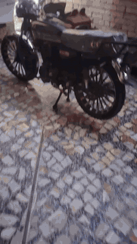 *********** موديل 24 دراجه مقفوله نظيفه دراجه جاهزه مدينه مدينه الصدر بغداد السعر  650 دراجه نظيفه تصوير اليوم سنه 26 دراجه طيارات جدا بصمات نظيفه اوراق اوراق الكرتونيه دراجه نظيفه كلها شغاله بغداد تمام والضحى اللي بالصور وبيها مجال تضيع لكم حق الجيه من شوي واللي يريد يراسلني يدق علي على الرقم مراسلات ما افتح اتصال تدق علي افتح عليك خط تراسلني على الواتساب ما ارد الماسنجر وش الرايده والمو شراي لا يخابر لا يظل بس يعامل ارجع واقوله فقط بس على الرقم اجاوب على الواتساب ما جاوب وعلى الماسنجر ما جاوب
