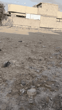 بابل المسيب • ٤٠٠م • طابو زراعي