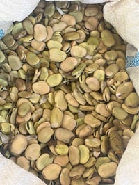 باقلا • درجة أولى • دهوك
