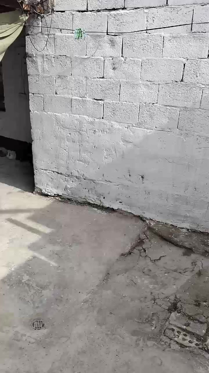 بيت تجاوز الزعفرانيه قرب مدرسه الشرق سوق الهوى مقابل بيوت الموظفين ١٥٠متر السعر١٦ بي مجال منطقه   مسيليته كامل الخدمات  مستعجل على البيع او مراوس


**إذا كنت صاحب هذا الإعلان وتريد حذفه لأي سبب، رجاءا أرسل رسالة إلى الدعم الفني**