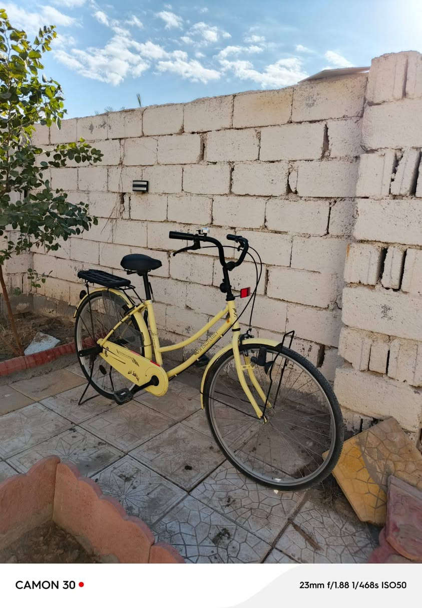 بايسكل بناتي حجم 26 كربلاء حولي شارع أبو مهدي المهندس السعر125وبيه مجال حك الجيه...


**إذا كنت صاحب هذا الإعلان وتريد حذفه لأي سبب، رجاءا أرسل رسالة إلى الدعم الفني**