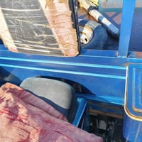 ستوته • كفالة • مديل 18