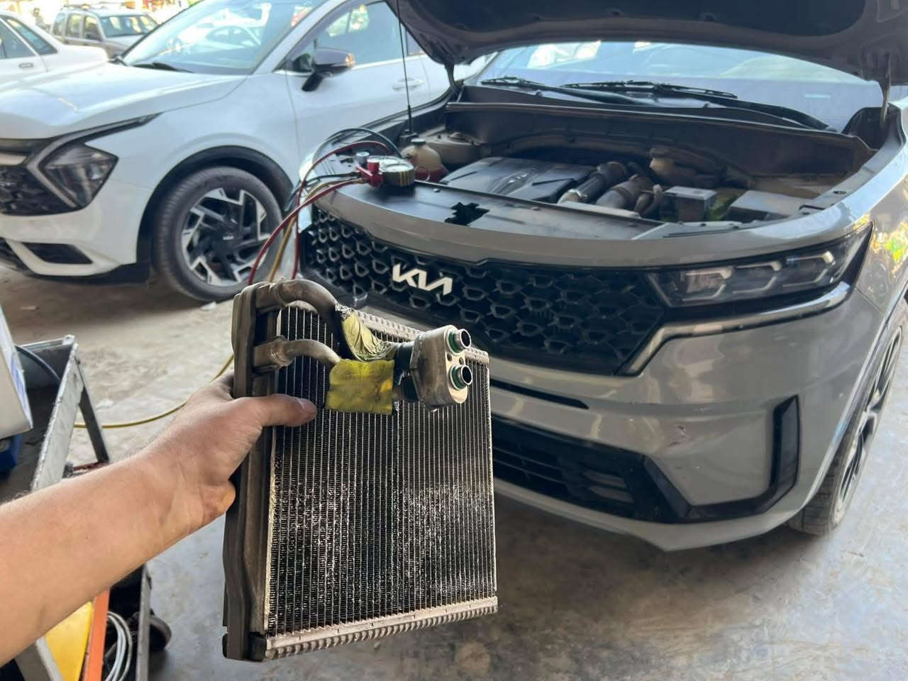 جانب من اعمالنا المنجزة مع الضمان
🔥🔥 #بأسعار_تبدأ_من_١٧٥_الف 🔥🔥
للسيارات الكورية الصالون ٤ سلندر (٢٠١١-٢٠٢٠)
تبديل فريز كوري اصلي مع شحن الغاز الفرنسي او الياباني الاصلي حسب اختيار الزبون مع وصل ضمان حقيقي بالعمل بــــس بــ ١٧٥ الف
واذا غاز امريكي بــ  ٢٠٠ الف
(سوناتا واوبتيما امريكي من موديل ٢٠١٧ فما فوق غير مشمولة)

#للسبورتج_والتوسان (٢٠١١-٢٠٢٠)
تبديل فريز كوري اصلي مع شحن الغاز الفرنسي او الياباني الاصلي حسب اختيار الزبون مع وصل ضمان حقيقي بالعمل بــــس بــ ٢٠٠ الف
واذا غاز امريكي اصلي وكالة بــ ٢٢٥ الف

للأستفسار مراسلة الصفحة
او الاتصال 📞 ***********

 موقعنا 📌 بغداد – الدورة شارع ٦٠ – مقابل الاستدارة
