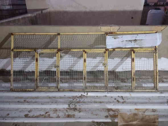 سلام عليكم وجهيه مال دجاج 3×90
مقطعه ثلاث ابواب سيم بي ارسي   كامله بس السيم  يردله ترتيب. وياه قطعه سيم بي ر سي كامله
خانه طابقين    90×70×50 
كلهن 75
بيهن مجال مكان شهداء سيف سعد كربلاء 
***********
***********
