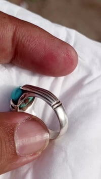 نيشابوري • مقاس ١٧ • أصلي