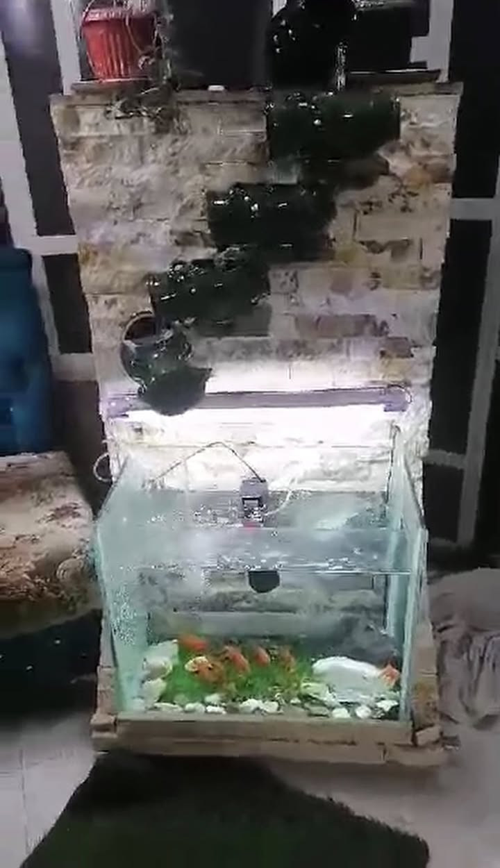 للبيع سرير ١١٠ ،اوتي٣٠ ،نافوره وي الحوض ١٠٠ العنوان المزارع مقابل مستشفى السلام


**إذا كنت صاحب هذا الإعلان وتريد حذفه لأي سبب، رجاءا أرسل رسالة إلى الدعم الفني**