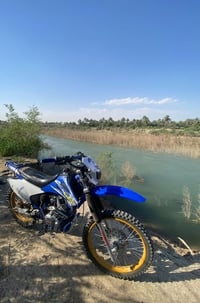 قفاز • موديل ٢٤ • مكفول