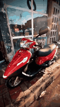 دراجه بريز ببغاء جديده مال رمبه السعر مليون ***********
