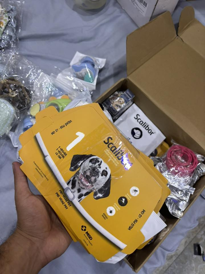 السلام عليكم شعله بهذا الشكل مالّ حيوانات 30الف هي وتوصيل


**إذا كنت صاحب هذا الإعلان وتريد حذفه لأي سبب، رجاءا أرسل رسالة إلى الدعم الفني**