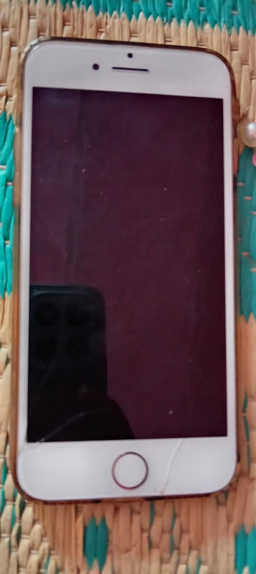 فون 7العادي مقفول ايكلود 
الشاشه مبدله بيه فطر بسيط مياثر ع شاشه 
البطاريه مبدله (100)
كلشي بيه شغال بس مقفول ايكلود لحد يجي ويكلي شبي مابي 
ذب سعرك وذا عجبني ابيعلكياه
مكاني الحله.. السياحي ماكو اي توصيل تجي انته تاخذه 👍🏼


**إذا كنت صاحب هذا الإعلان وتريد حذفه لأي سبب، رجاءا أرسل رسالة إلى الدعم الفني**