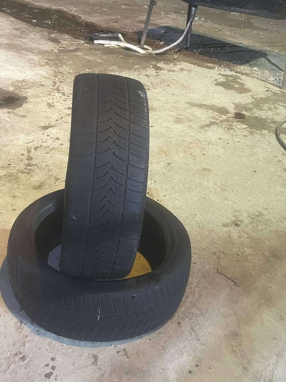 تعلن زيونة للاطارات المستعملة سلام عليكم ورحمة الله عيوني اهلاً وسهلا حياكم الله توفرت تايرات باله كربلاء طويريج قرب حلوايات الحمداني جميع القياسات والسعار تفليش وفرع ثاني كنطرت سلام قرب اسواق ادره اا
استفسار عله ارقام التاليه ***********----×////////×***********ابو كيان
وصول وجبة اطارات مستعملة مختلف الاحجام وباسعار مناسبة
