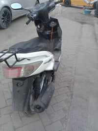 سكنس فحل ياباني للبيع عنوان بغداد الدوره السعر 725 مجال بسيط للاتصال 0...