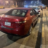 كورلا • ٢٠١٩ • رقم سليمانيه