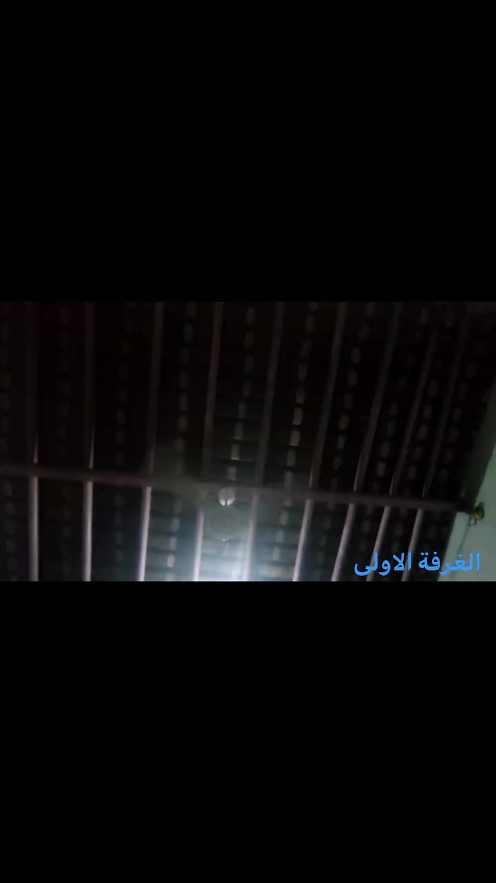 سقف للبيع
مال غرفتين ثنينهن 
  ثنيهن بيهن ١٧ بوري حديد جديد
مع الجينكو جديد ايضا

+ الصالة بيها ١٩ عمود جديد+ جينكو مالتها جديد ايضا 

+ المطبخ  بي سندويچ جديد

للاسفسار / ***********
