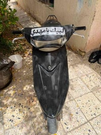 عصفوري • شغاله • تحتاج شوتة