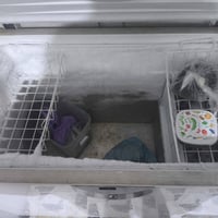 للبيع مجمدة ومكيف  للاستفسار اتصل 07718913277 غير متواجدين على الفيس