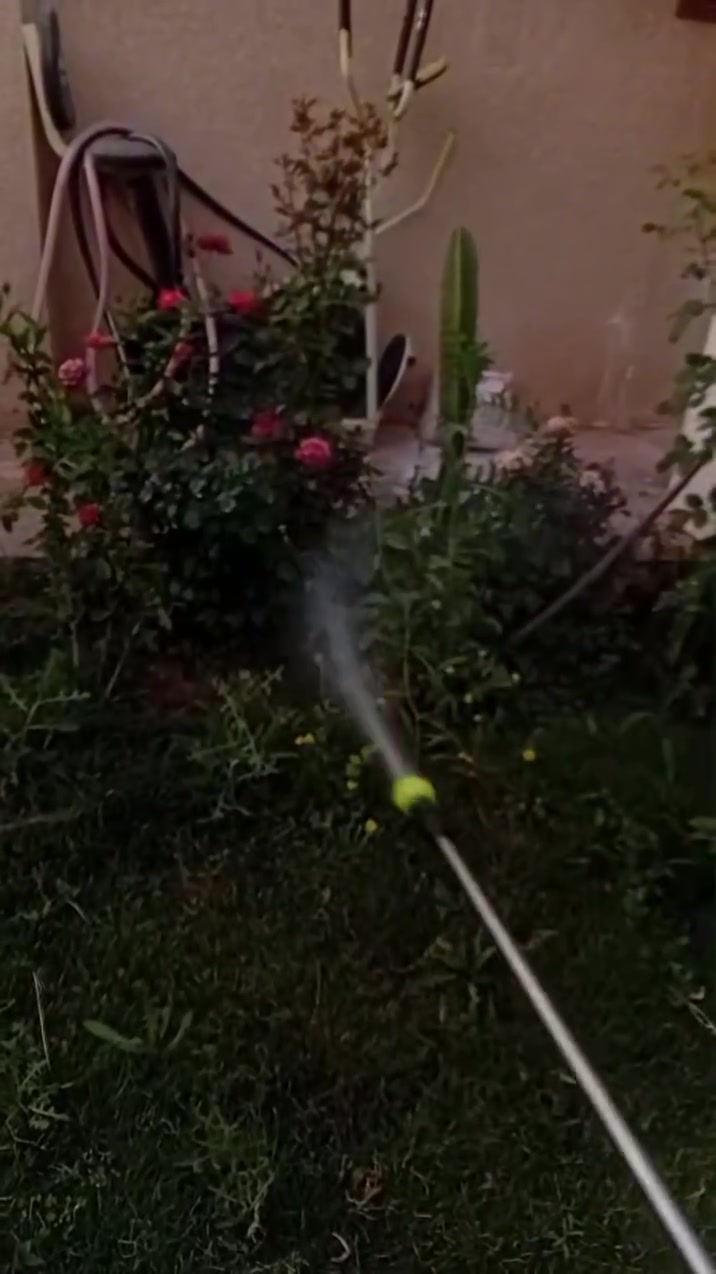 اذا عندك حديقة وبـيها حشرات وتريد تتخلص منها، موجودين دوة قاتل حشرات للحدائق 🌿🔥
يقضي على الحشرات ويحافظ ع نظافة الحديقة 👍
للطلب والاستفسار راسل خاص


**إذا كنت صاحب هذا الإعلان وتريد حذفه لأي سبب، رجاءا أرسل رسالة إلى الدعم الفني**