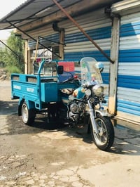 ستوتة للبيع 2023امكمركة الستوتة احلئ من الصور الستوتة مكفولة ما عدة ال...