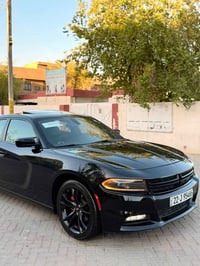 SXT بلاص • ٢٠٢٢ • رقم اربيل