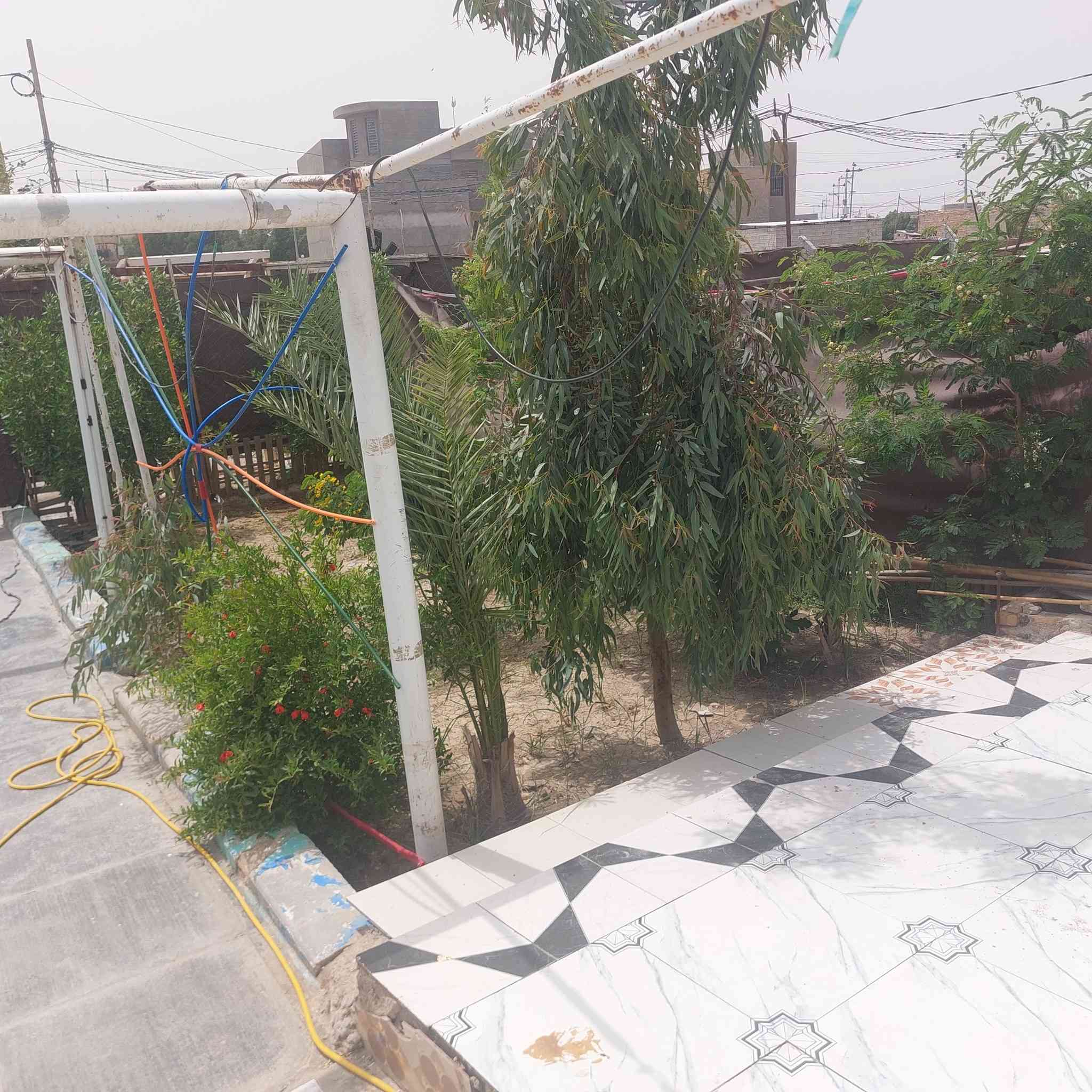 للبيع بيت زراعي سند 25 مسجل بالبلدية معاملته كامله حي الحسين قرب مدرسة أعراف مساحه البيت 🏠 300م يحتوي ع غرفتين وصحيات داخليه وخارجيه صالة 12م وحديقه جاهزه مجهزه وبراني عايزه ظلع واحد فقط سعر 49

رقم هاتف ***********
