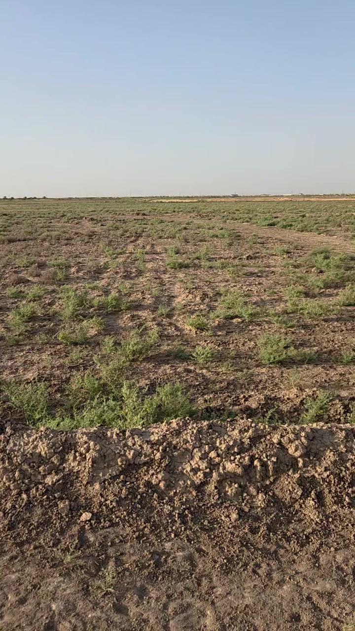 ارض للبيع المساحه ٣٠ دونم طابو ٢٥ مع ارض ٧٠ دونم عقد ١١٧ العنوان نهايه سده دور لنفط قرب السيطره الاستفسار الاتصال على صاحب الارض ***********
