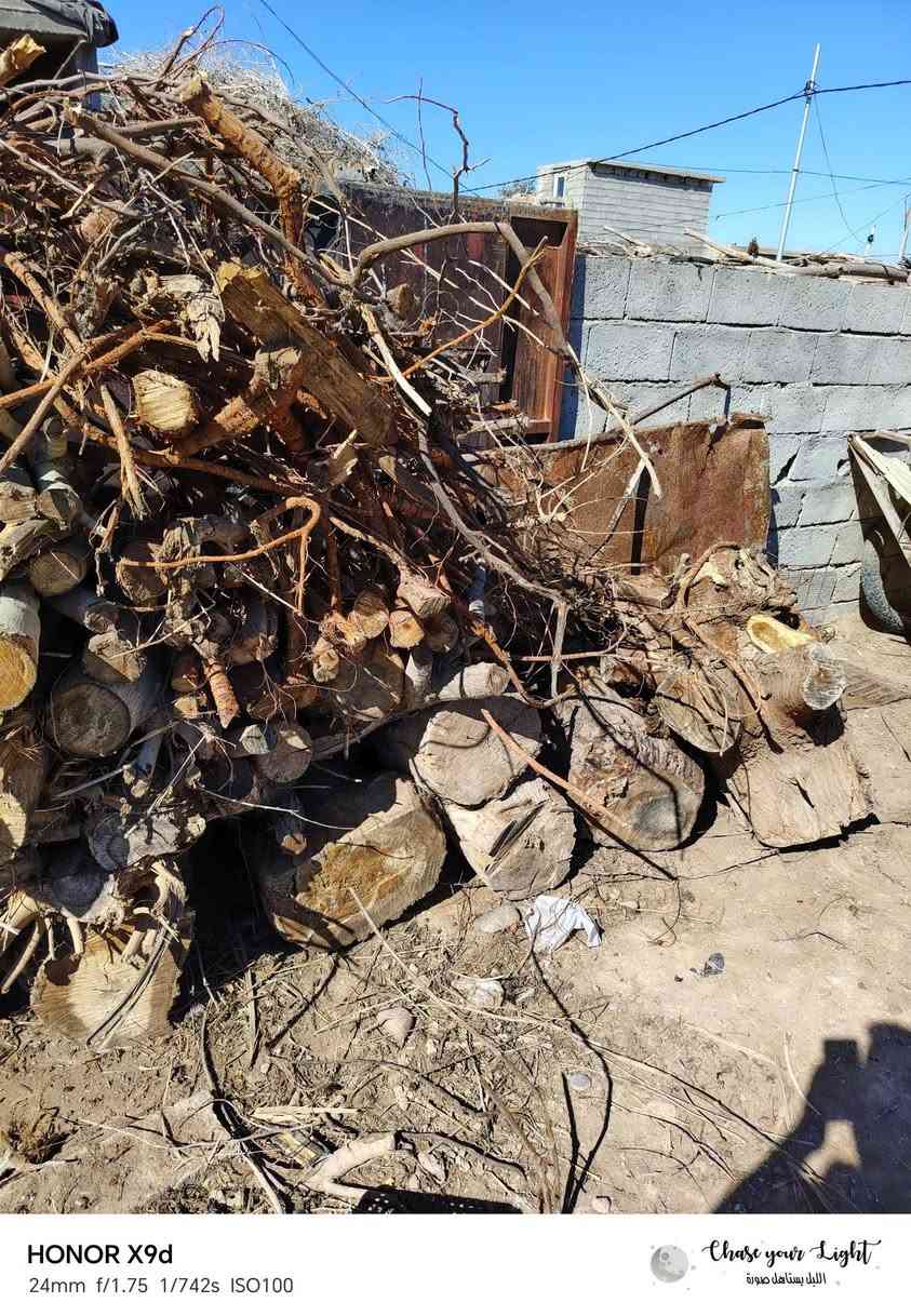 السلام عليكم ورحمة الله وبركاته
يوجد حطب للبيع مقطع كامل 
الكميه موظحه بل صور 
السعر 185
للاستفسار الاتصال
***********
