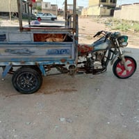ستوتة • اوراق • ٢٠١٤