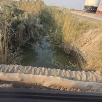 يم الجسر الخامس • ١٦٠دونم • طابو زراعي